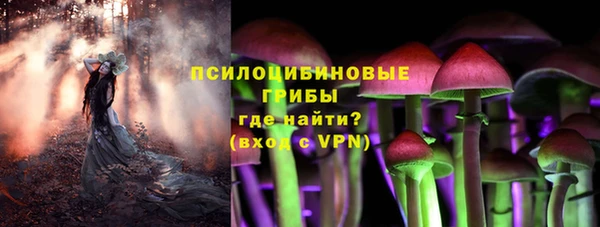 PSILOCYBIN Алзамай