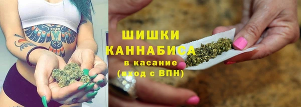 PSILOCYBIN Алзамай