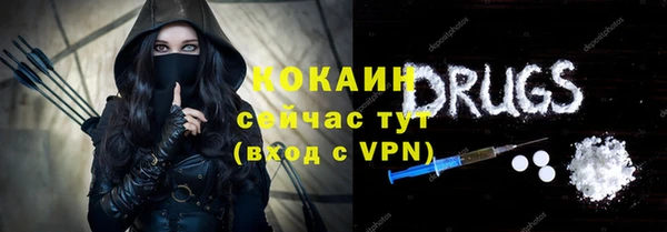 хмурый Алексин