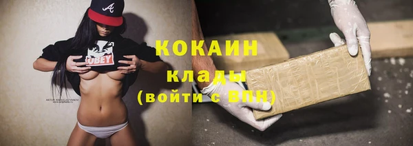хмурый Алексин