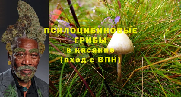 PSILOCYBIN Алзамай