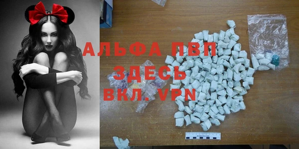 PSILOCYBIN Алзамай