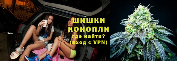 PSILOCYBIN Алзамай