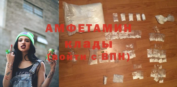 хмурый Алексин